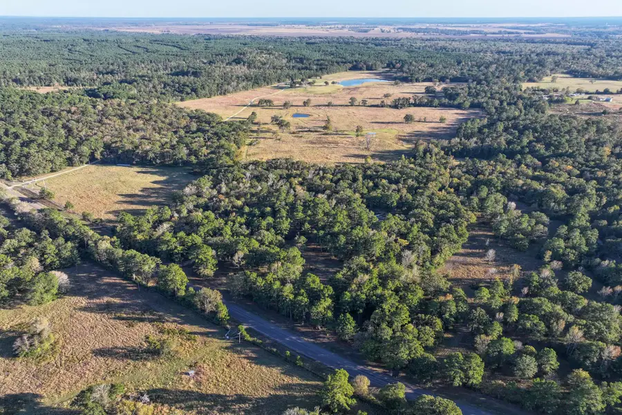 485 Fm 230, Trinity, TX 75862 - #3