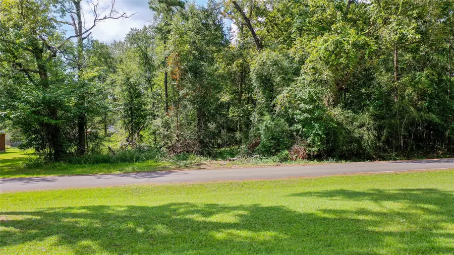 2210 Appian Way, New Caney, TX 77357 - #3