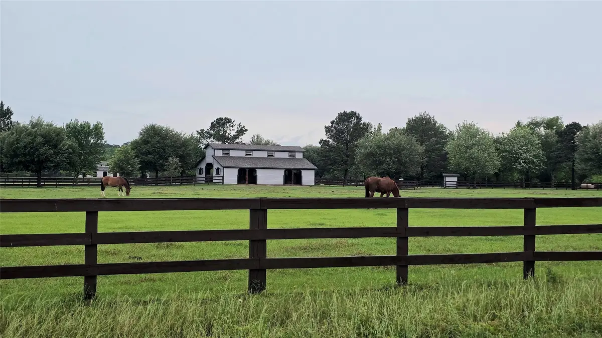 41015 Kimber Lane, Magnolia, TX 77354 - #1