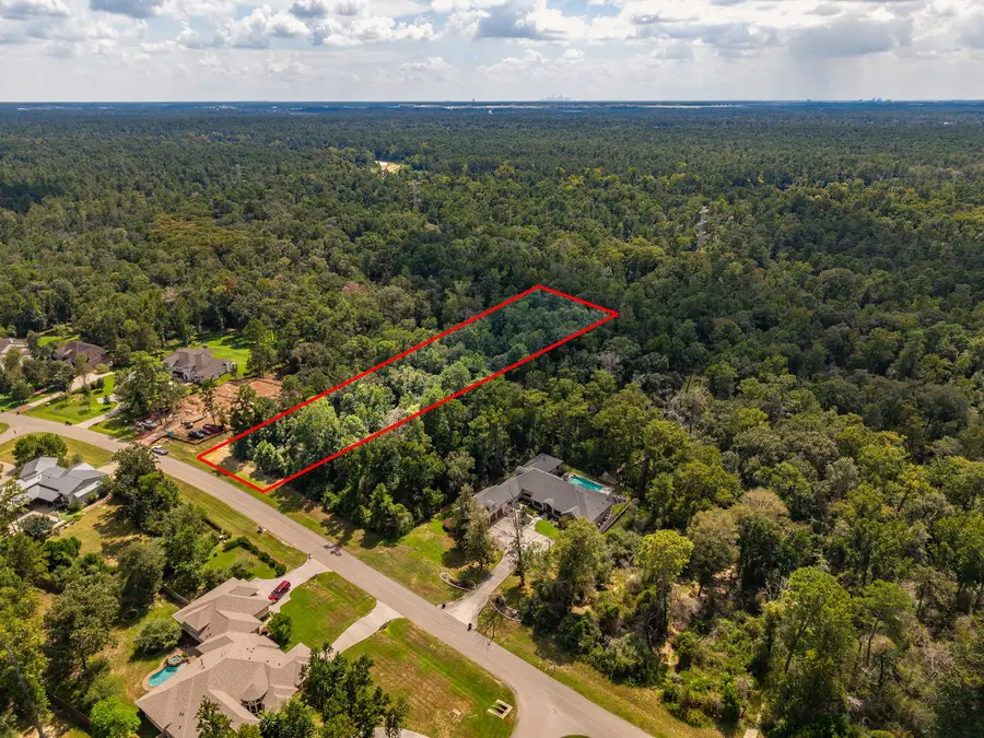 27362 Shady Hills Landing Lane, Spring, TX 77386 - #2