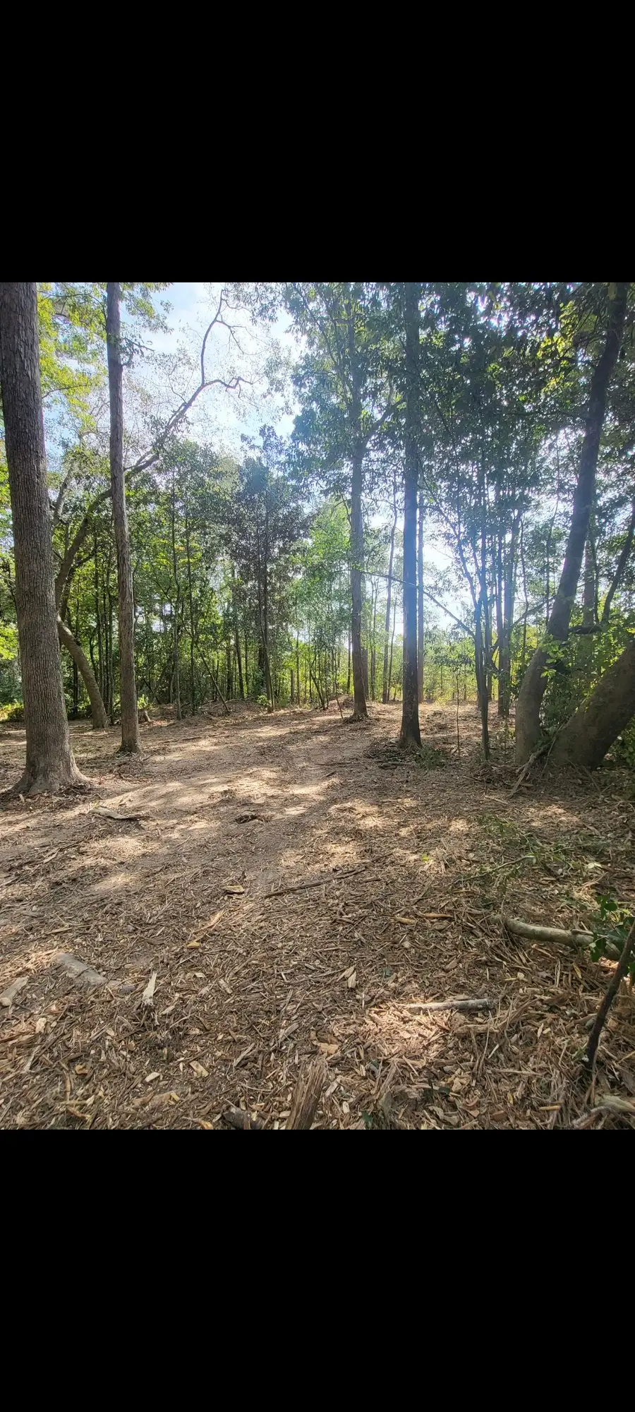 TBD Bear Hollow, Cleveland, TX 77328 - #2