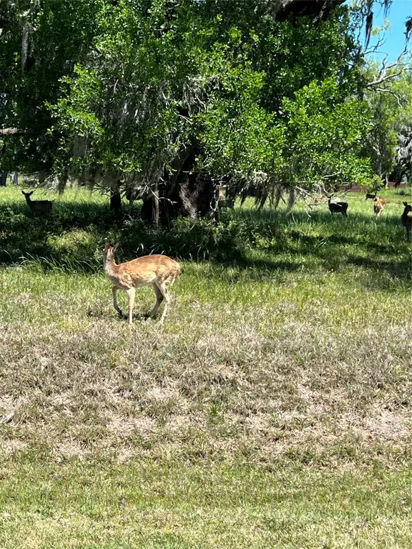 131 Hidden Horse Trail, Angleton, TX 77515