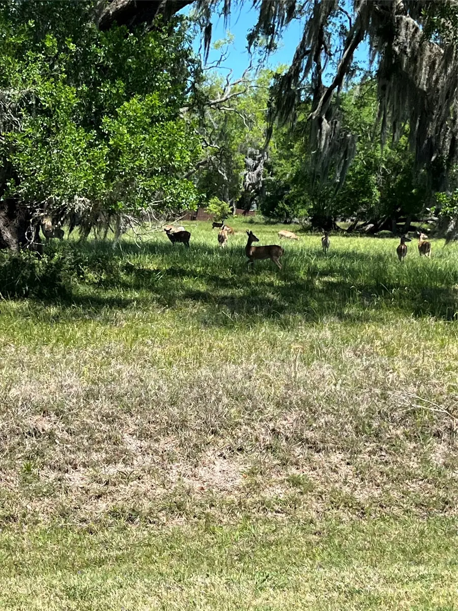 131 Hidden Horse Trail, Angleton, TX 77515 - #2