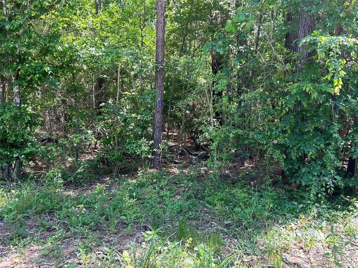 0 Redwood Lane, Montgomery, TX 77356 - #1