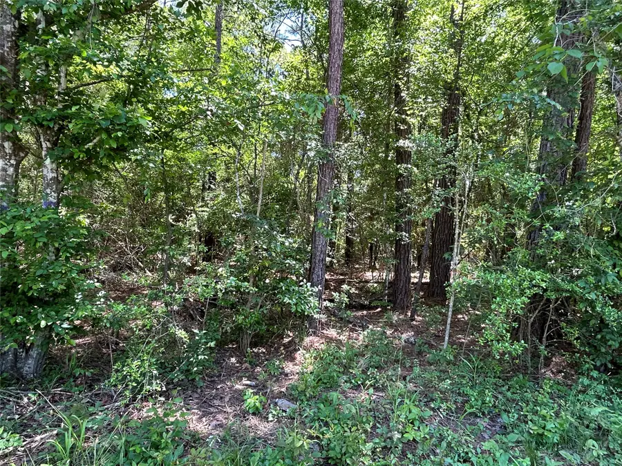 0 Redwood Lane, Montgomery, TX 77356 - #2