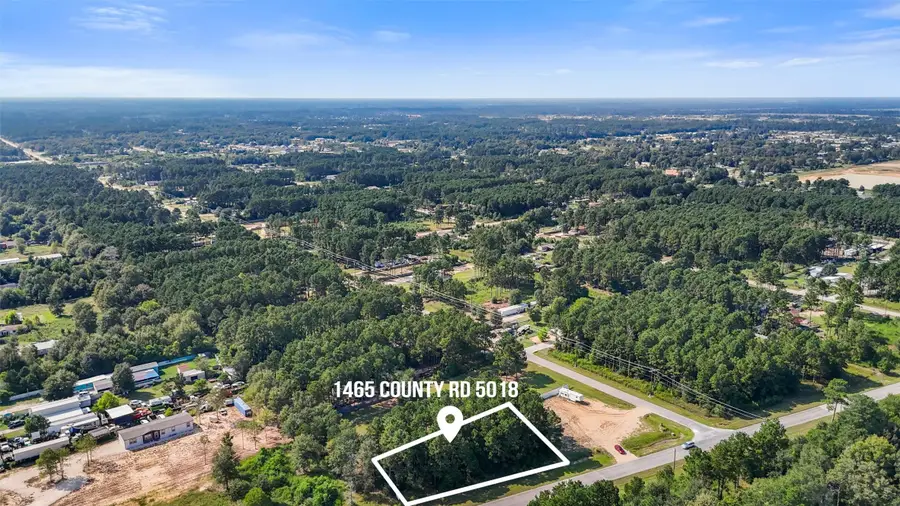 1465 Road 5018, Cleveland, TX 77327 - #2