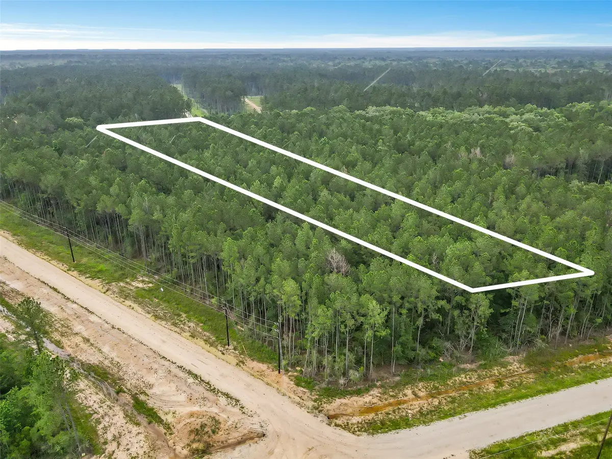 6773 Black Cat Road, Sour Lake, TX 77659 - #1