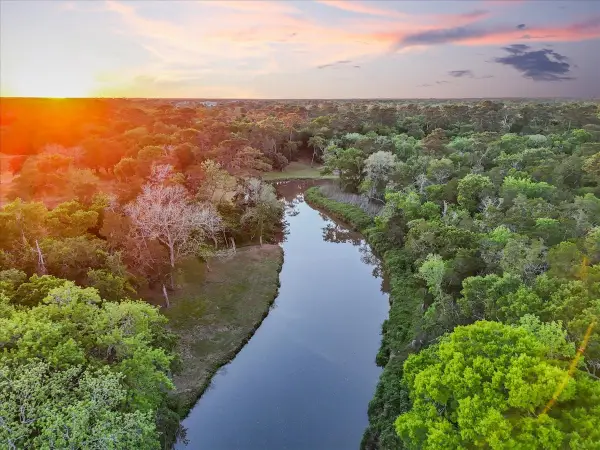 302 Whispering Pines Avenue, Friendswood, TX 77546