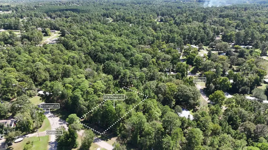 Lot 226 N Canyon Drive, Onalaska, TX 77360 - #2