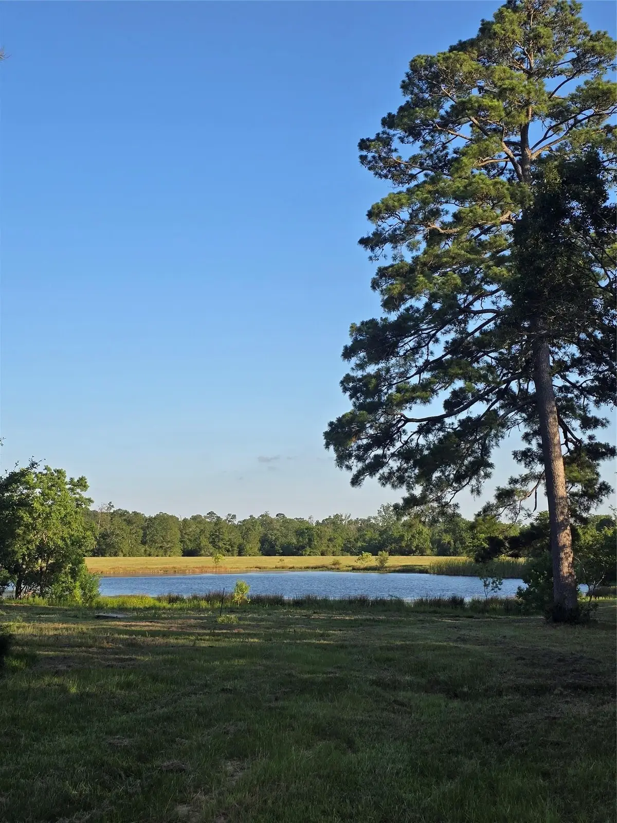 TBD Hwy 150 W, Coldspring, TX 77331 - #1