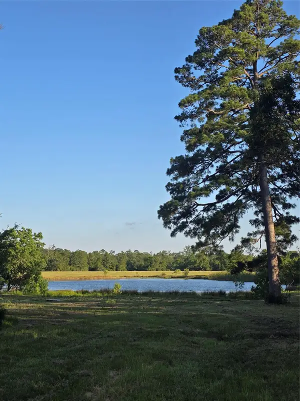 TBD Hwy 150 W, Coldspring, TX 77331