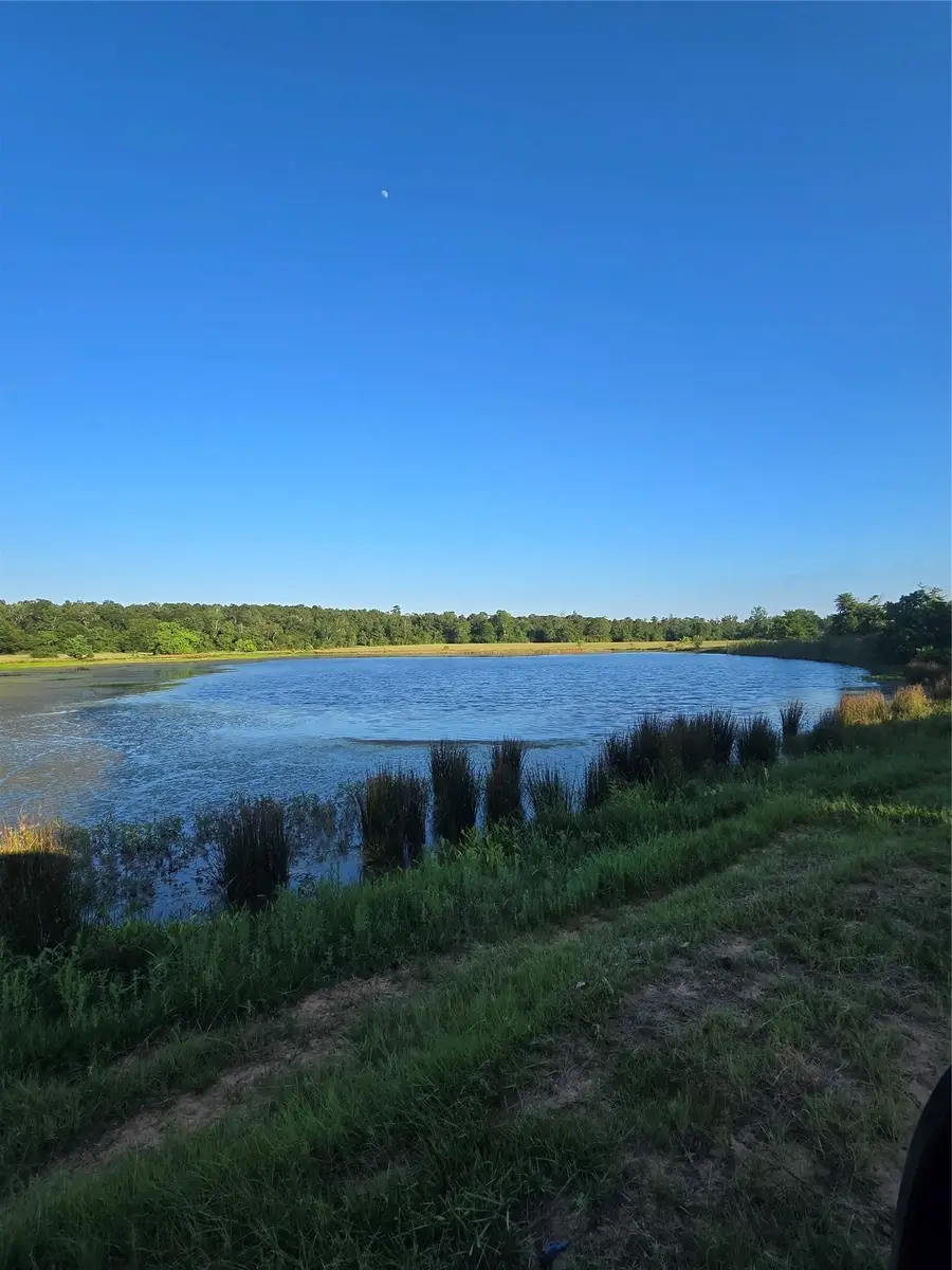 TBD Hwy 150 W, Coldspring, TX 77331 - #2