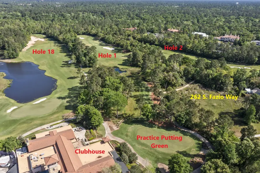 262 S Fazio Way, The Woodlands, TX 77389 - #2