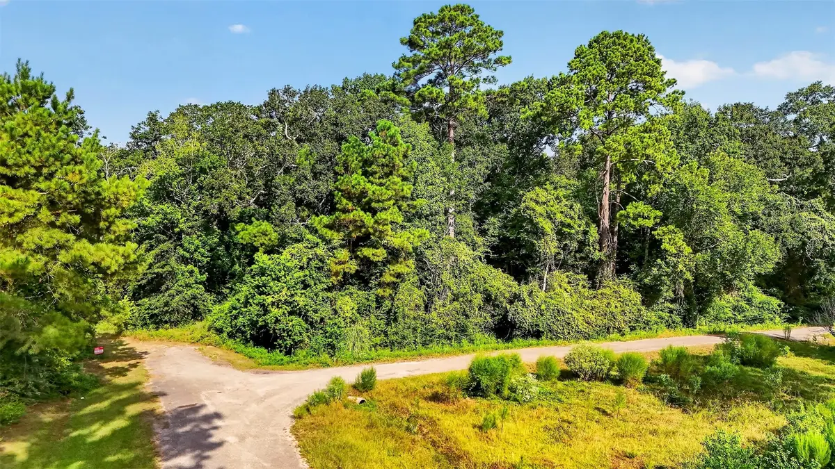 Tract 136 Garden West, Conroe, TX 77302 - #1