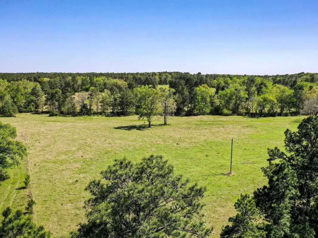 0 Black Jack Cemetery Road, Huntsville, TX 77340 - #1