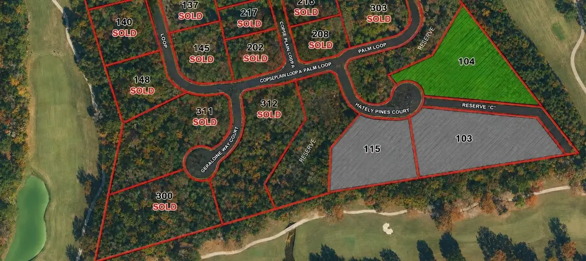 104 Chateau Pines Court, Montgomery, TX 77316 - #1