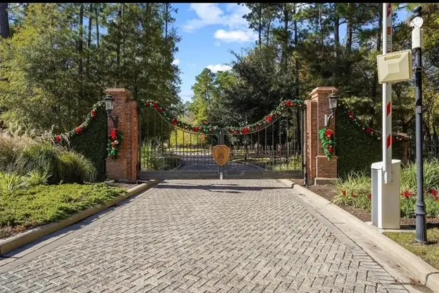 104 Chateau Pines Court, Montgomery, TX 77316 - #3