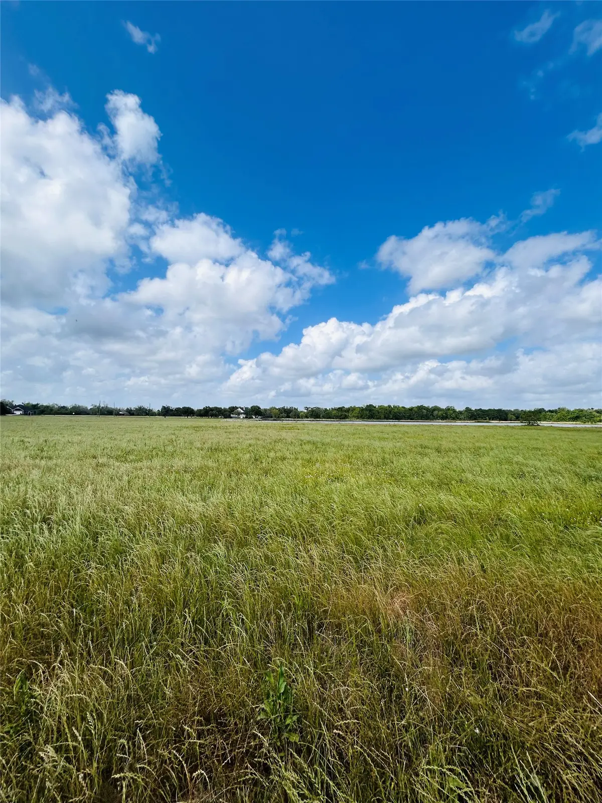 0 Conestoga Trail, Angleton, TX 77515 - #1