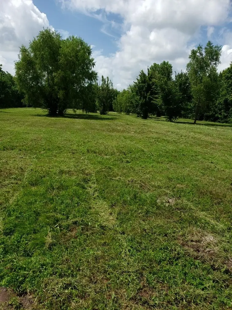 5735 Grapevine, Houston, TX 77085 - Image #2