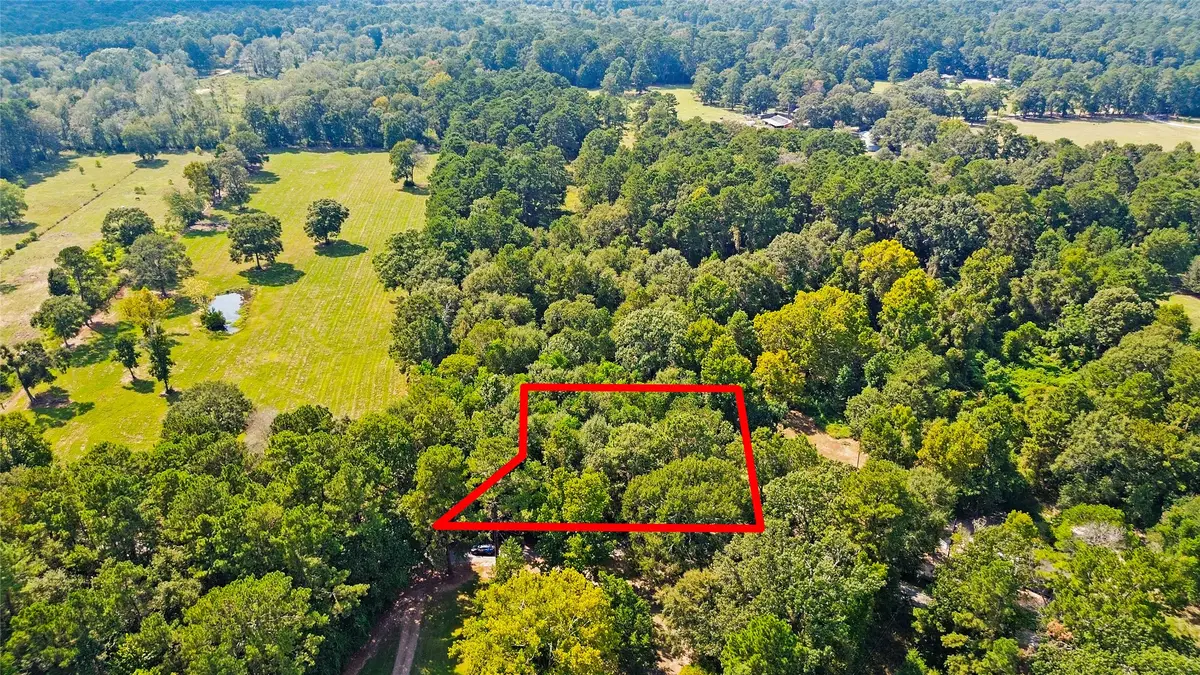 TBD County Road 2192, Cleveland, TX 77327 - #1