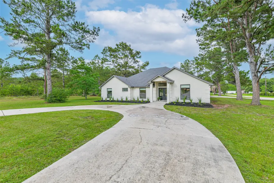 19602 Robeck Street, Tomball, TX 77377 - #2