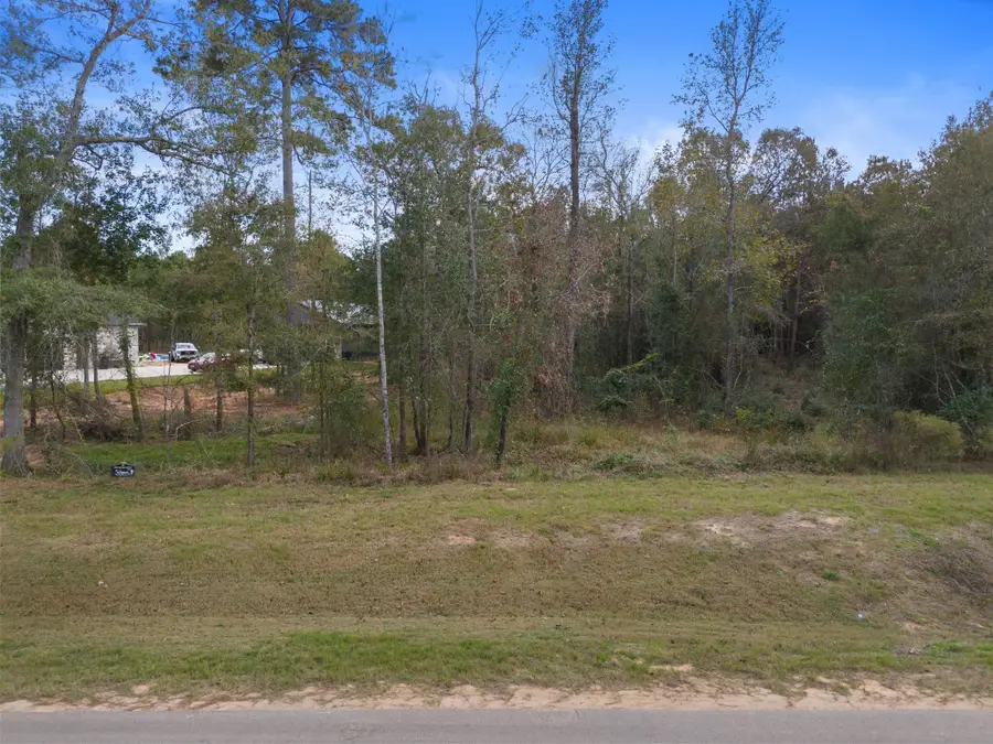 7509 High Meadow Ridge Drive, Montgomery, TX 77316 - Image #3