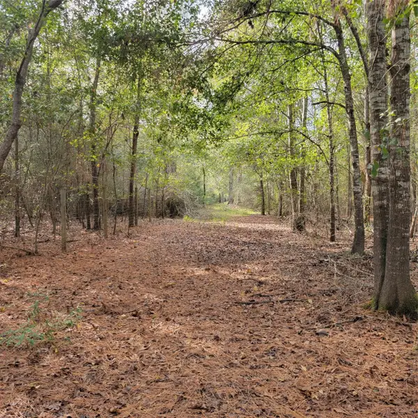 27055 Sandy Creek, Magnolia, TX 77355