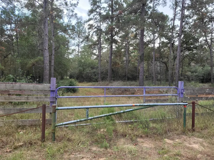 27055 Sandy Creek, Magnolia, TX 77355 - Image #3