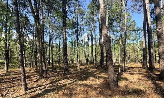 141 Wentworth Lane, Coldspring, TX 77331 - #2