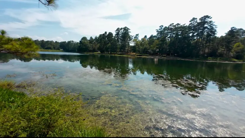 TBD Lot 37 Aspen Dr, Montgomery, TX 77356 - #3