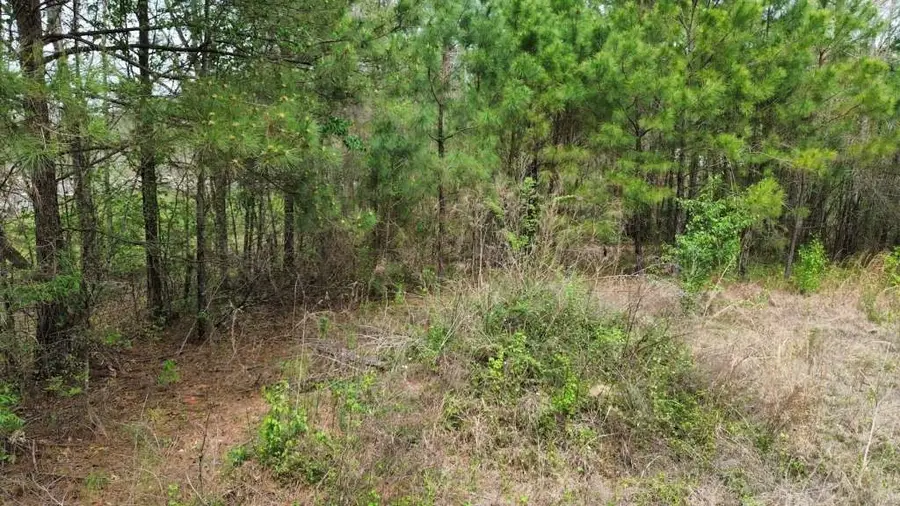 400 County Road 1924, Atlanta, TX 75551 - Image #2