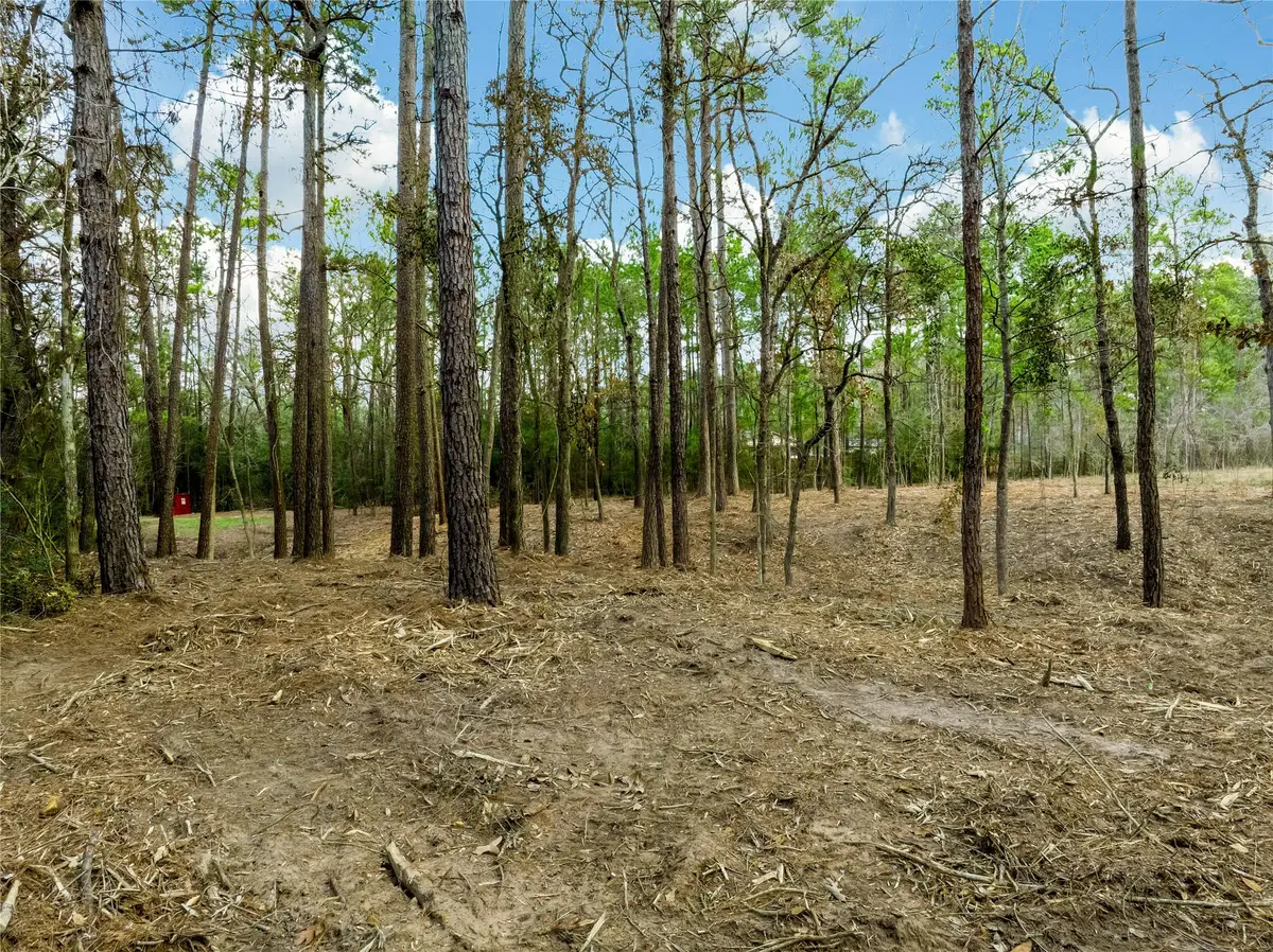 LOT 11 Mayhaw Lane, Plantersville, TX 77363 - #1