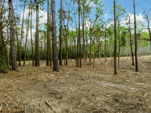 LOT 11 Mayhaw Lane, Plantersville, TX 77363