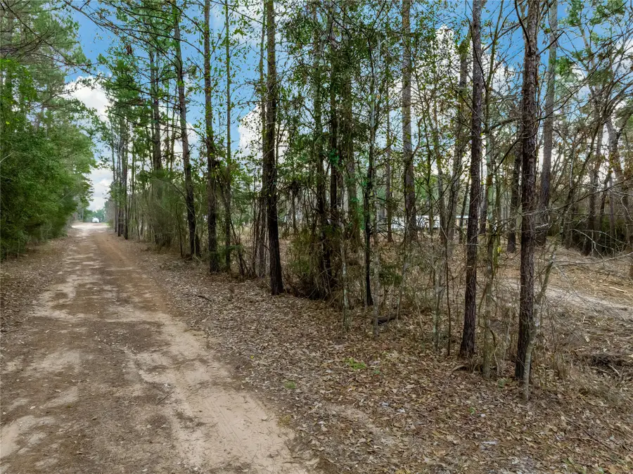LOT 11 Mayhaw Lane, Plantersville, TX 77363 - #2