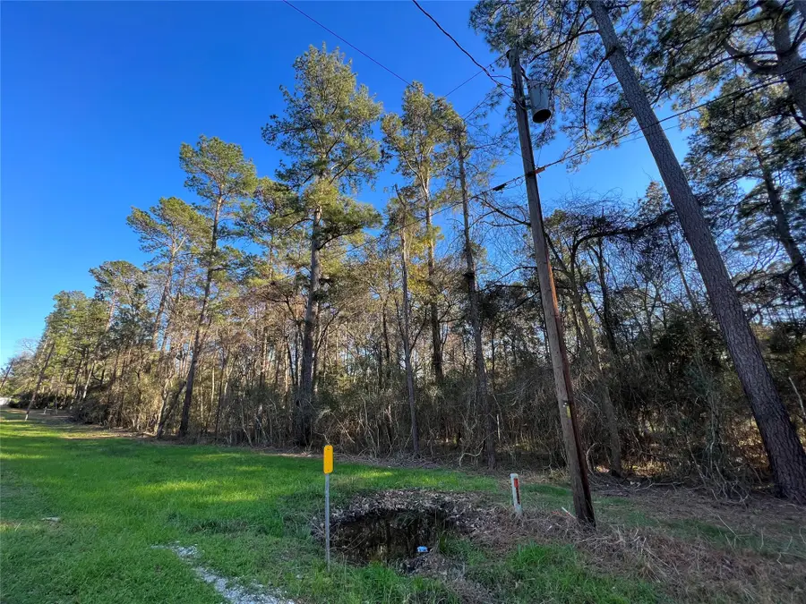 290 Greenbriar Drive, Magnolia, TX 77355 - Image #3