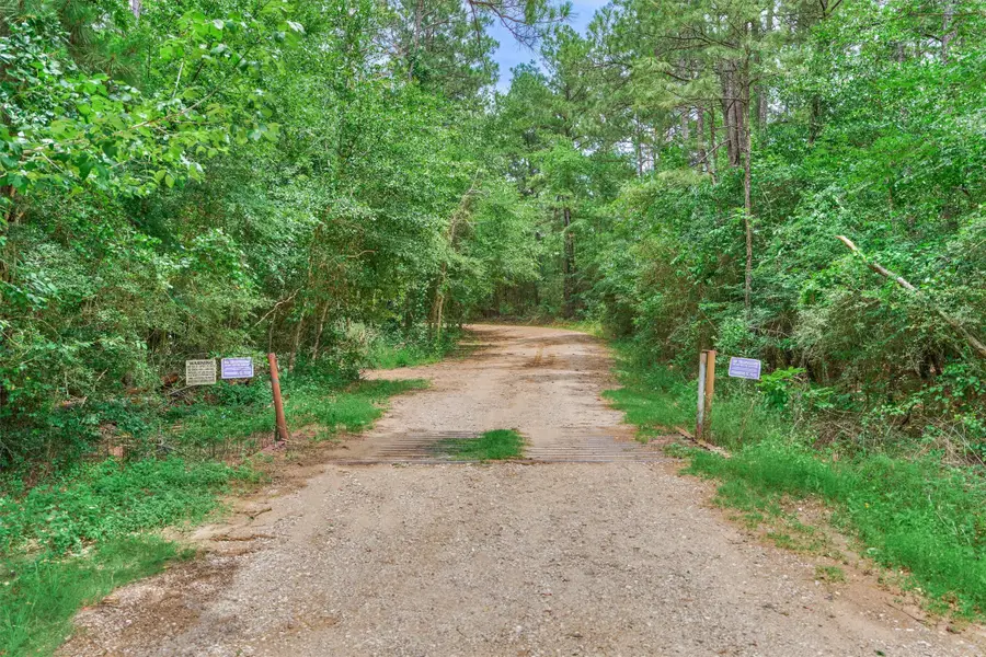 TBD N Fm 1486, Montgomery, TX 77356 - #3