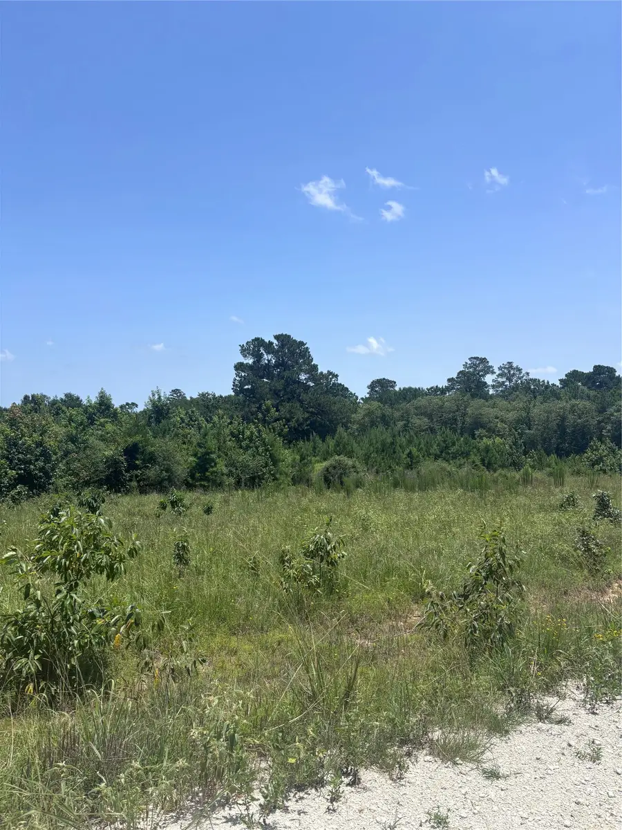 tbd Canopy Ridge, Kennard, TX 75847 - #3