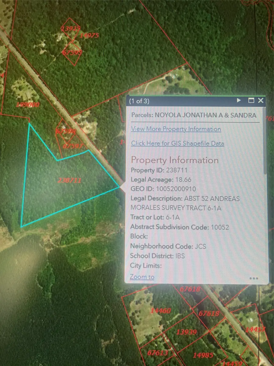 TBD Fm 943, Livingston, TX 77351 - #2