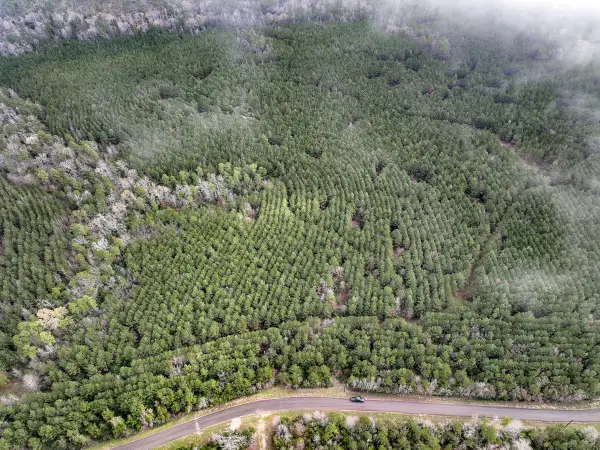 05 Cr 2145, Crockett, TX 75835