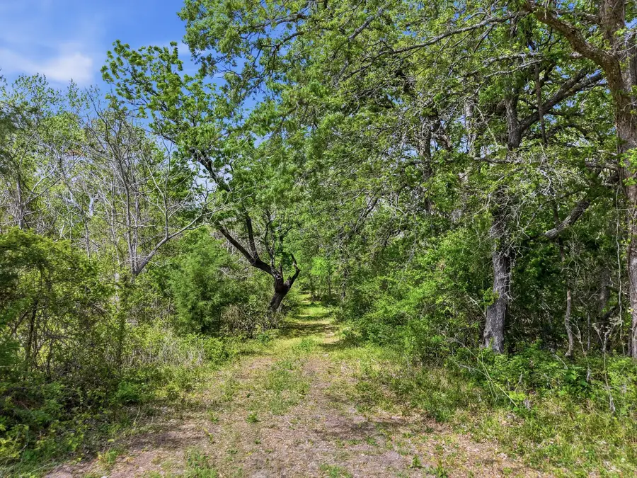 TBD County Road 405, Anderson, TX 77830 - #3