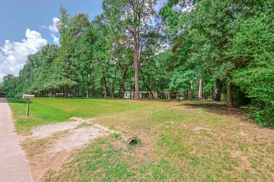 1815 Will Scarlett Street, Montgomery, TX 77316 - #3