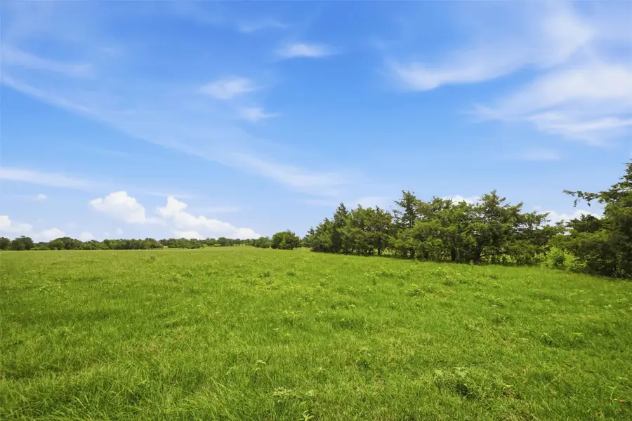 Tract 2 Holly Cemetery Road, Franklin, TX 77856 - #2