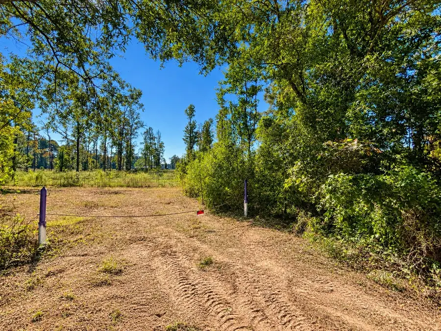 00 County Road 2197, Cleveland, TX 77327 - #2