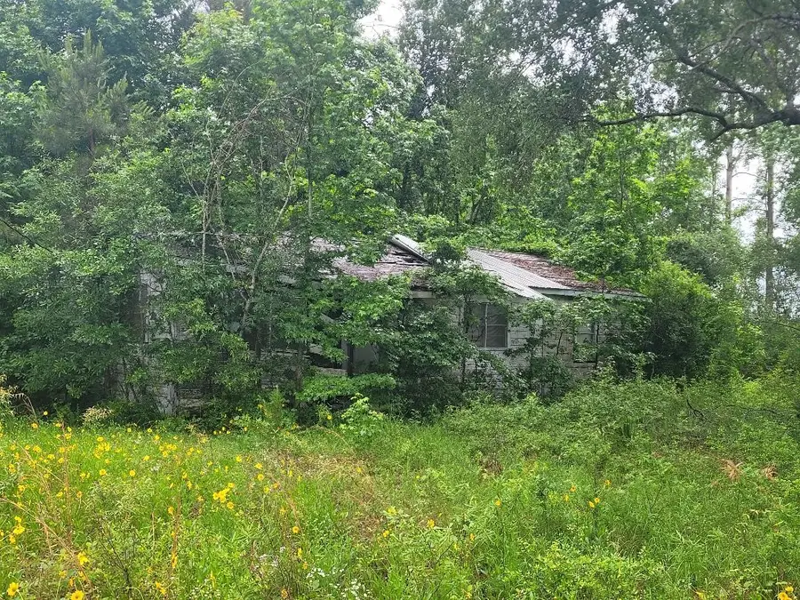 0000 Fm 1012, Newton, TX 75966 - #2