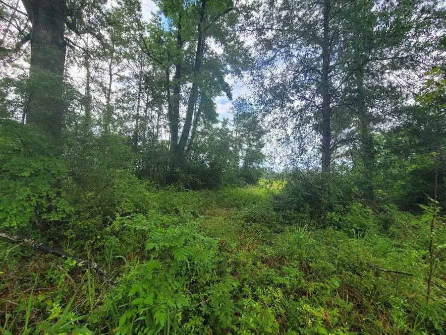 0000 Fm 1012, Newton, TX 75966 - #3