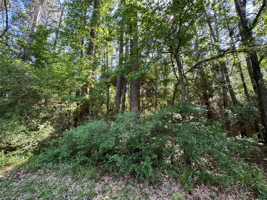 16 Forrest Hollow, Trinity, TX 75862 - #2