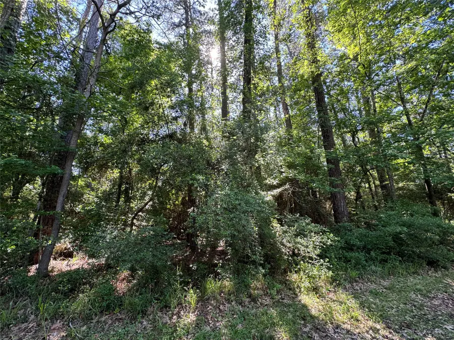 16 Forrest Hollow, Trinity, TX 75862 - #3