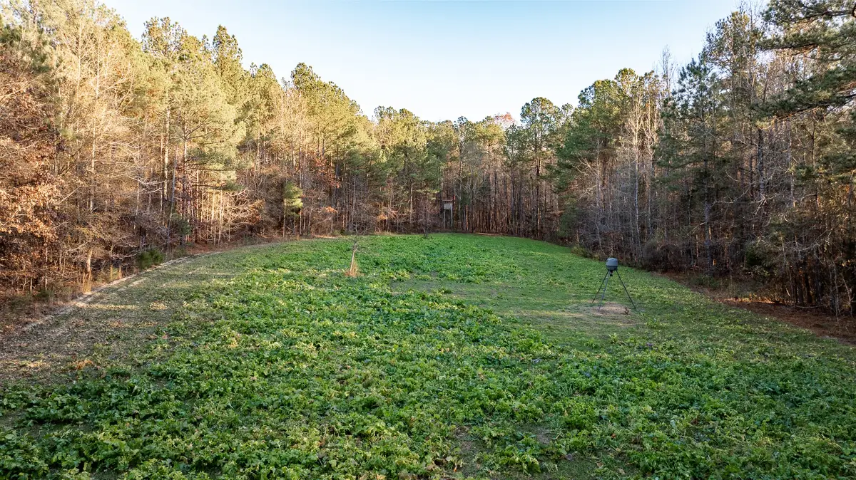 8548 Elberton Road, Tignall, GA 30668 - #1