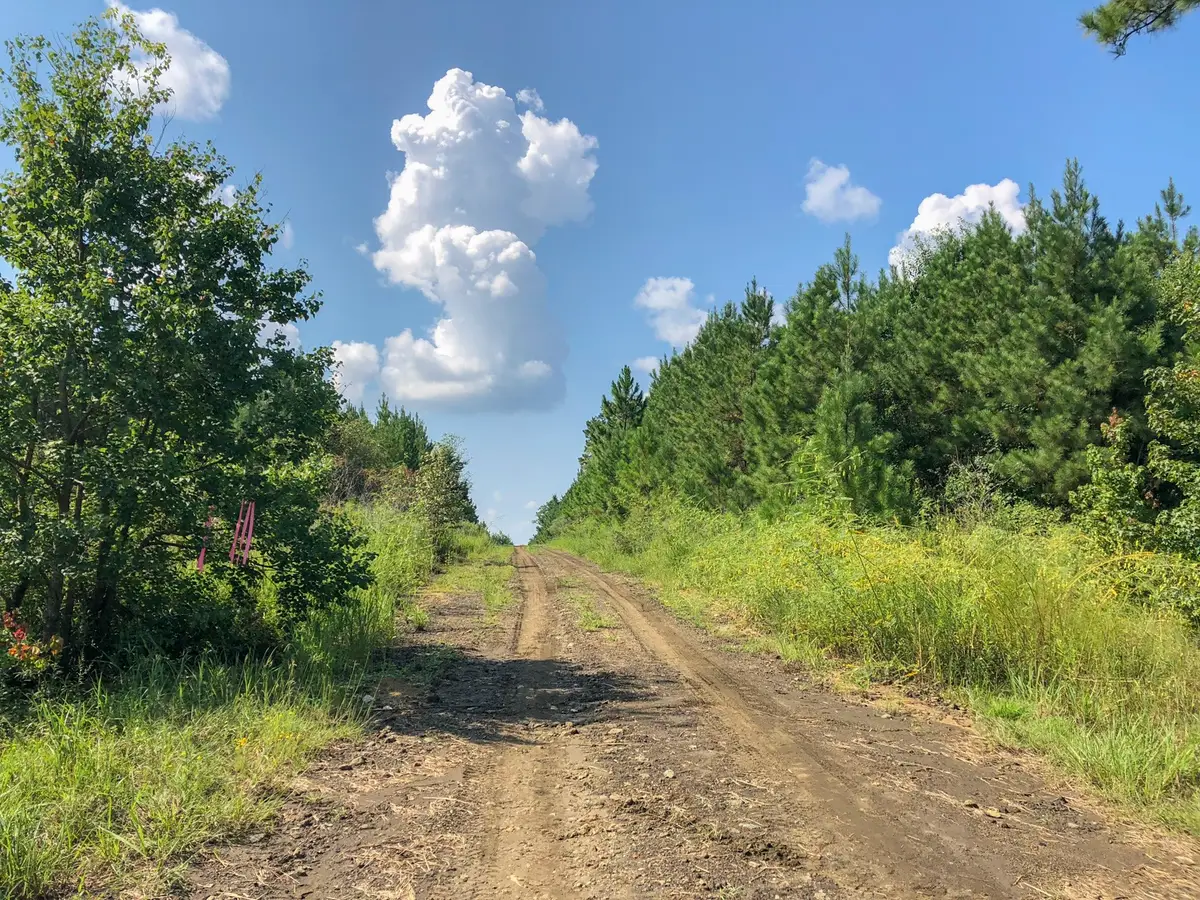 0 Off Fm 1746, Hillister, TX 77624 - Image #1