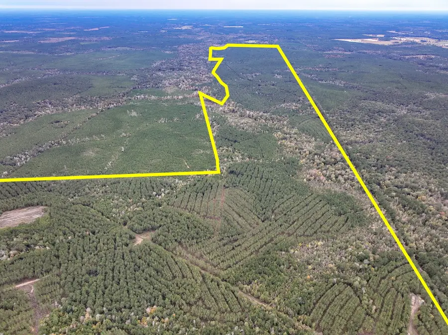 0 Off Fm 1746, Hillister, TX 77624 - Image #2